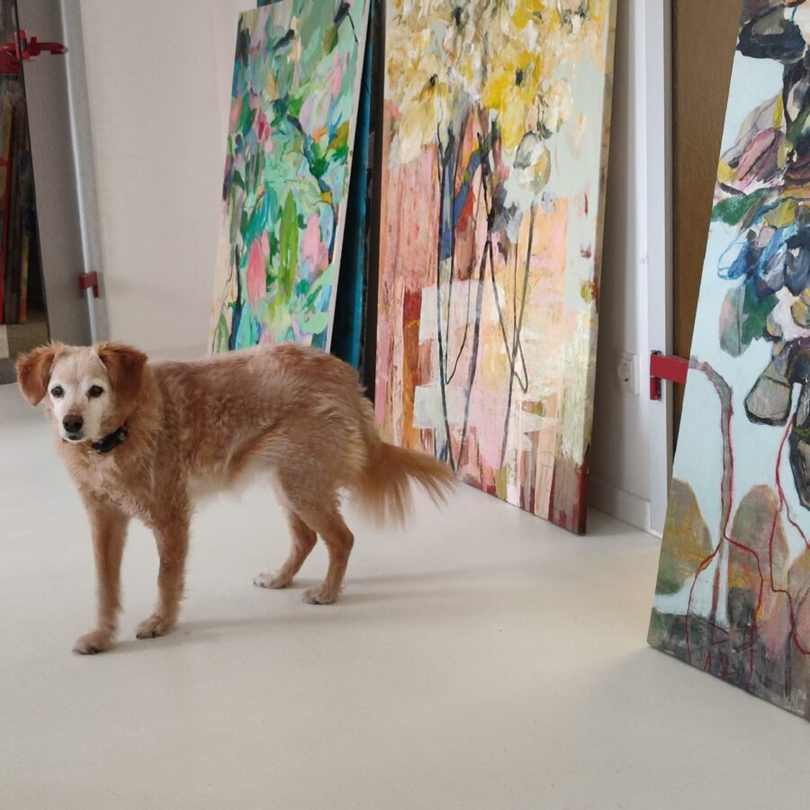 Pavlinas Hund Luna im Atelier.